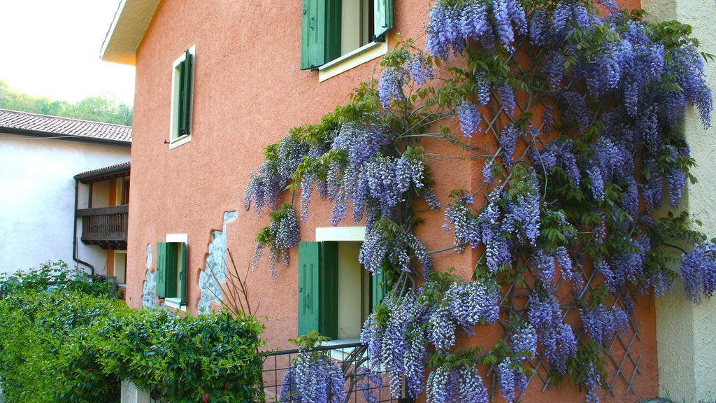 La Nicchia Apartment Tarzo Екстериор снимка